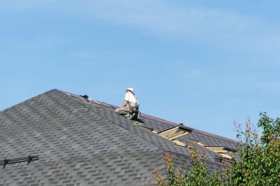 Repair Technician Inspecting Roof